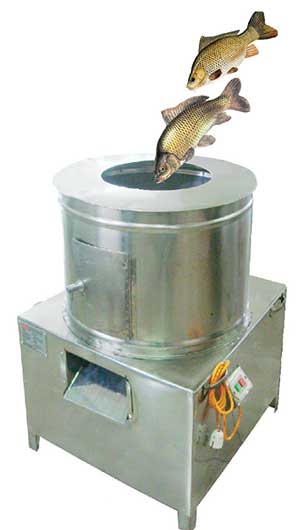 Meat & Fish Processing Equipment, nagamaro